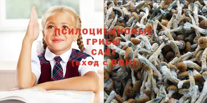 Как найти наркотики Сухой Лог ГАШИШ  Cocaine  Alpha-PVP  NBOMe  МЕФ  АМФЕТАМИН  ГЕРОИН 