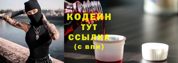 амф Липки