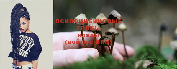 амф Липки