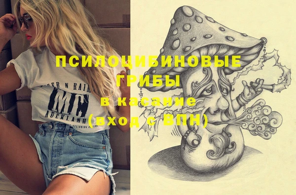 МДПВ Артём