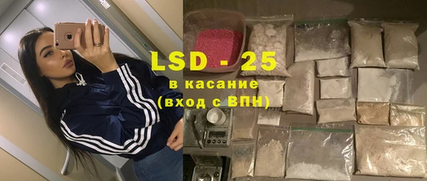 амф Липки