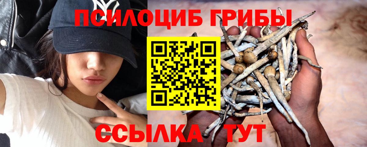сколько стоит  Вход с VPN  Сухой Лог  Псилоцибиновые грибы Magic Shrooms 